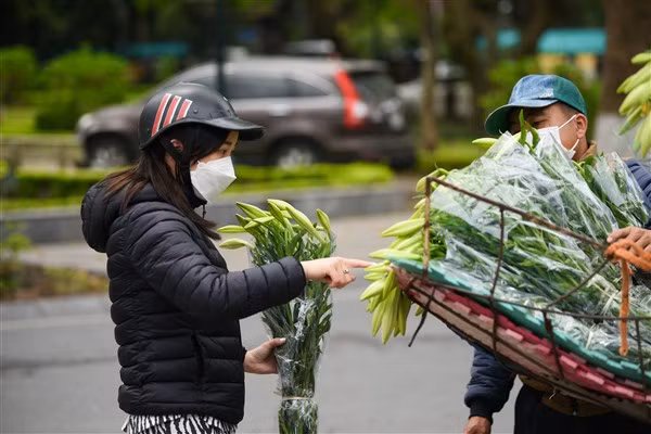 Dịu dàng hoa loa kèn tháng 4 ảnh 1