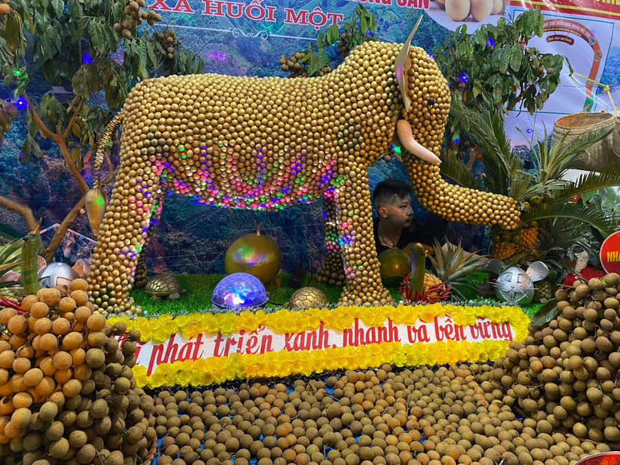 Nhãn được trưng bày và trang trí đẹp mặt tại ngày hội. Nhãn được trưng bày và trang trí đẹp mặt tại ngày hội.