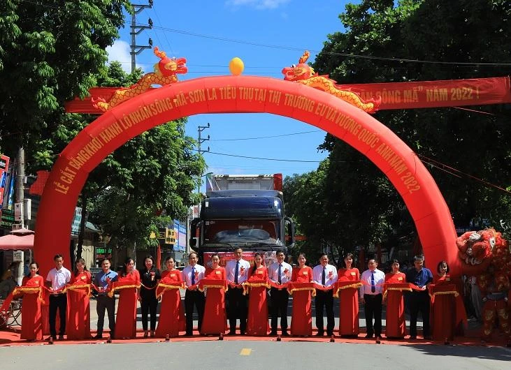 Sơn La: Xuất khẩu nhãn sang EU, Vương Quốc Anh và Trung Quốc