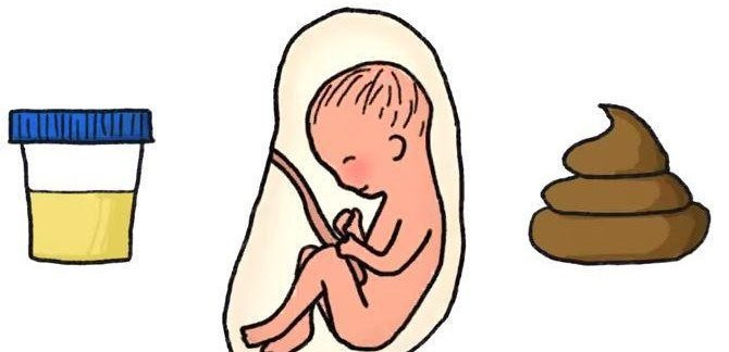 Ảnh minh họa/INT. Ảnh minh họa/INT.