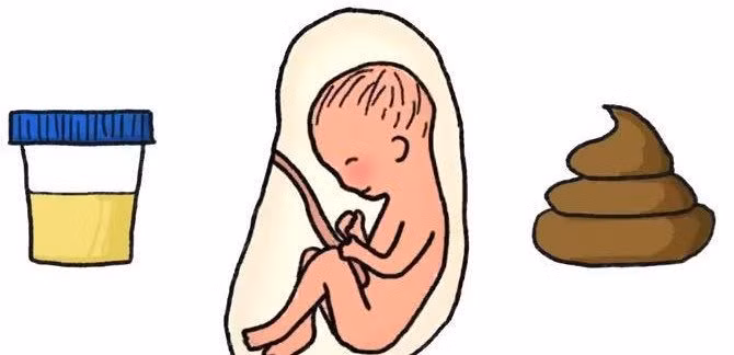 Ảnh minh họa/INT.