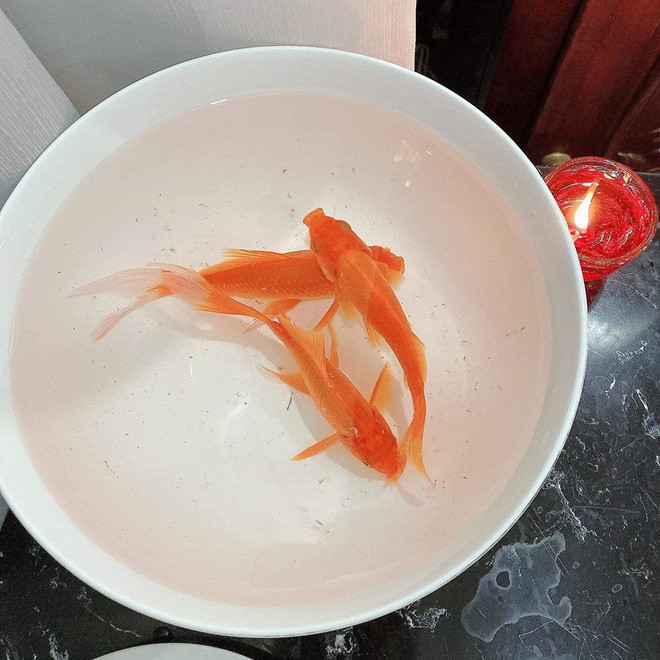 Mam co cung Tao cua Ly Hai, Minh Ha va nhieu sao Viet hinh anh 7 82436217_3013775658652971_7482747505478729728_o.jpg