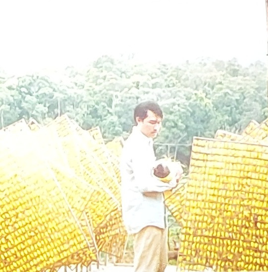 Hình ảnh Thiện giữa những phên kén vàng trong bộ phim 'Bên trong vỏ kén vàng'. Ảnh: HA Hình ảnh Thiện giữa những phên kén vàng trong bộ phim 'Bên trong vỏ kén vàng'. Ảnh: HA