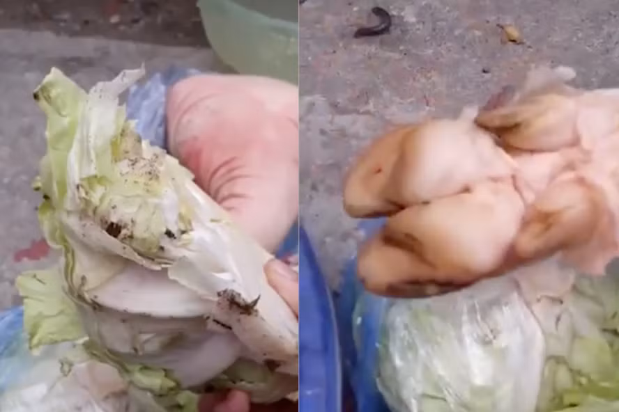 Bằng cảm quan, phụ huynh học sinh bức xúc khi thấy ra, thịt lợn bẩn trong bếp ăn của trường