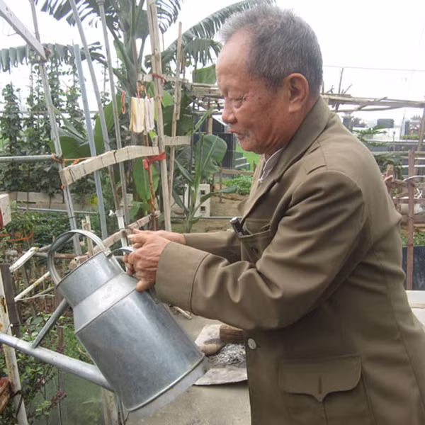 Kỳ lại người đàn ông sống trong nghĩa địa, dựng "vườn địa đàng" tặng vợ quá cố ảnh 2