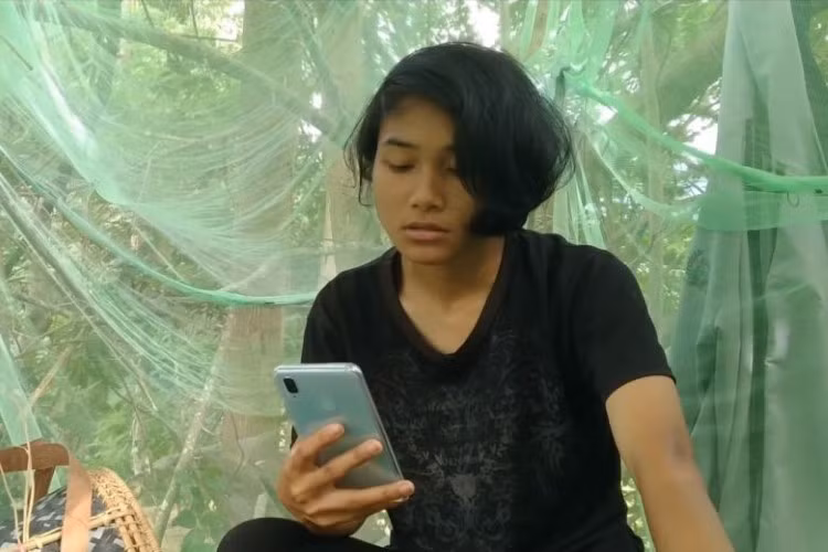 Veveonah học trên cây để có chất lượng Internet tốt hơn.