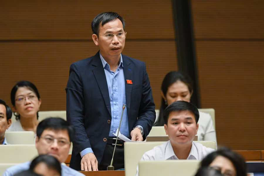 Đại biểu Đồng Ngọc Ba (Bình Định).