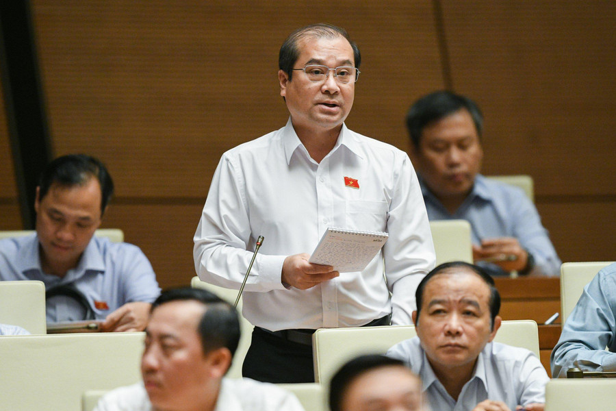 Đại biểu Trình Lam Sinh (An Giang). Đại biểu Trình Lam Sinh (An Giang).