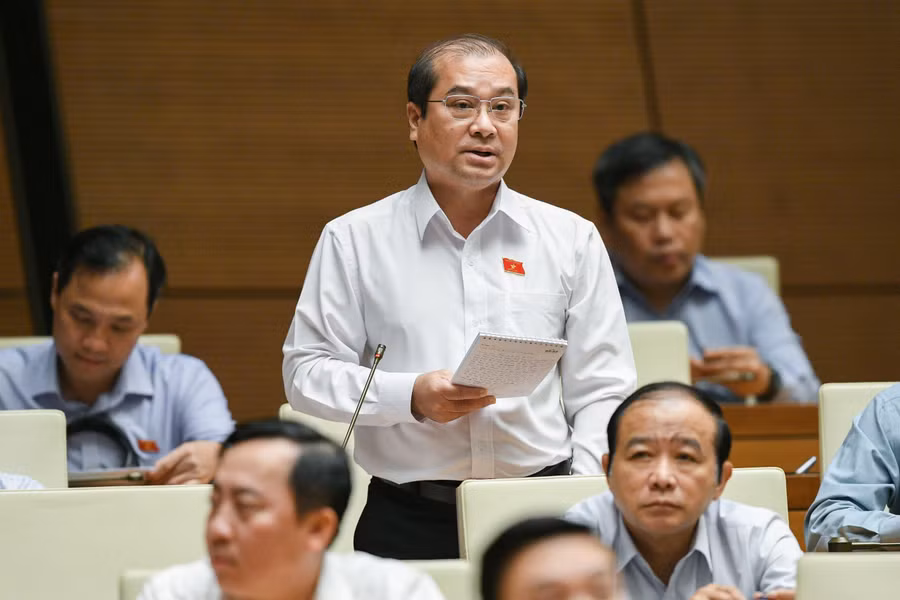 Đại biểu Trình Lam Sinh (An Giang).