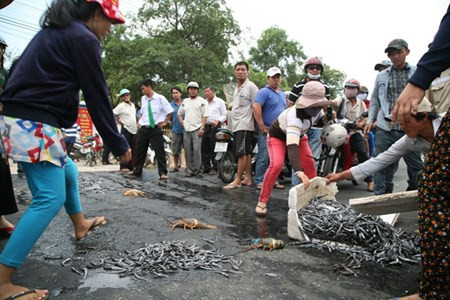 Phản đối ô nhiễm, dân đổ tôm hùm chết ra quốc lộ Phan doi o nhiem, dan do tom hum chet ra quoc lo