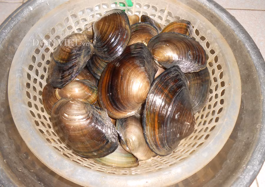 Thơm ngọt, đậm đà tô cháo sìa sông quê ảnh 1