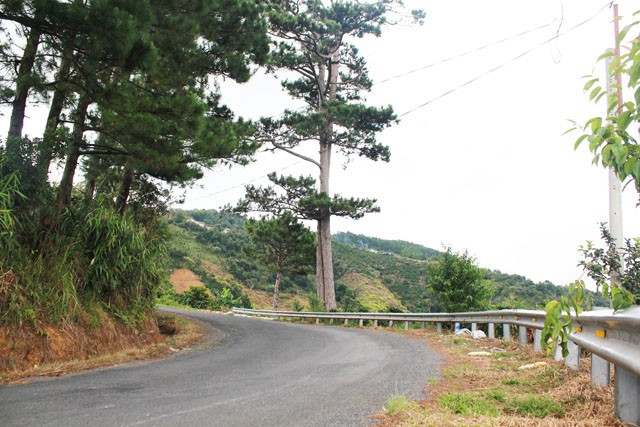 Chinh phục đèo D’ran: Rời đồi chè Cầu Đất, bạn tiếp tục theo hướng QL20. Đèo D’ran chỉ dài 10 km nhưng là thử thách đối với những tay lái lụa. Đoạn đường đèo vắng vẻ, bạt ngàn rừng thông, những khúc cua tay áo bất ngờ khiến bạn phải giật thót tim nhưng sau đó lại trầm trồ trước khung cảnh thiên nhiên tuyệt đẹp của núi rừng. Thời tiết trên đèo "đỏng đảnh", sương núi có thể bao phủ bất cứ lúc nào. Lúc này, bạn sẽ trải nghiệm cảm giác chạy xe trong sương mù, tập trung cao độ để vượt qua con đèo hiểm trở. Dù chỉ là con đèo ngắn nhưng khiến bạn trải qua nhiều cung bậc khác nhau của cảm xúc. Chinh phục đèo D’ran: Rời đồi chè Cầu Đất, bạn tiếp tục theo hướng QL20. Đèo D’ran chỉ dài 10km nhưng là thử thách đối với những tay lái lụa. Đoạn đường đèo vắng vẻ, bạt ngàn rừng thông, những khúc cua tay áo bất ngờ khiến bạn phải giật thót tim nhưng sau đó lại trầm trồ trước khung cảnh thiên nhiên tuyệt đẹp của núi rừng. Thời tiết trên đèo khá