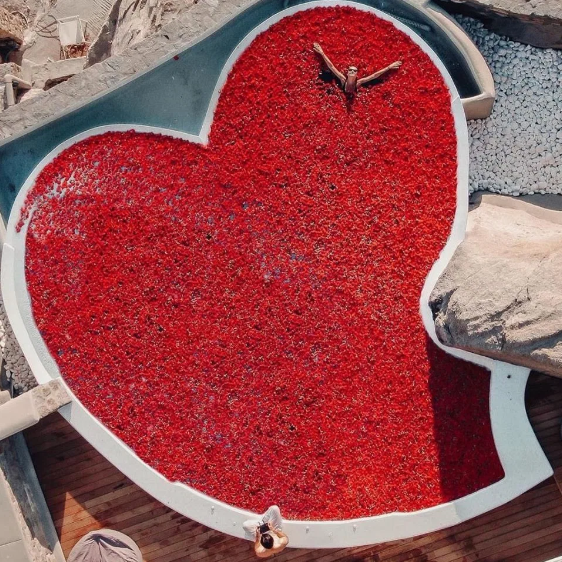  Và đây, quán quân của dịp lễ Valentine này là một bể bơi khổng lồ hình trái tim phủ đầy cánh hoa hồng!