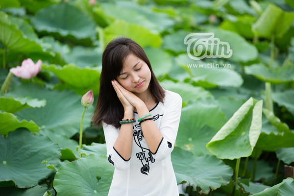 Giới trẻ Hà thành nô nức đi chụp sen Tây Hồ