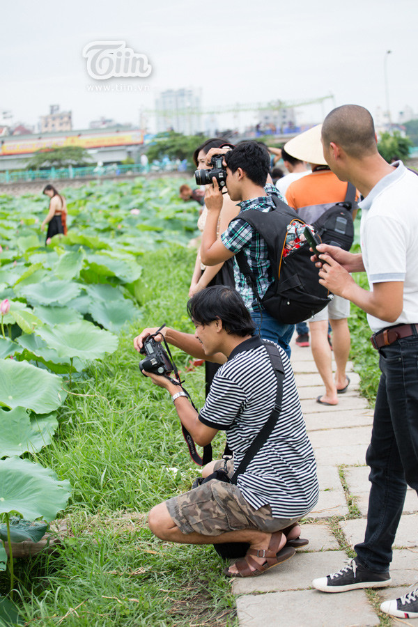 Giới trẻ Hà thành nô nức đi chụp sen Tây Hồ