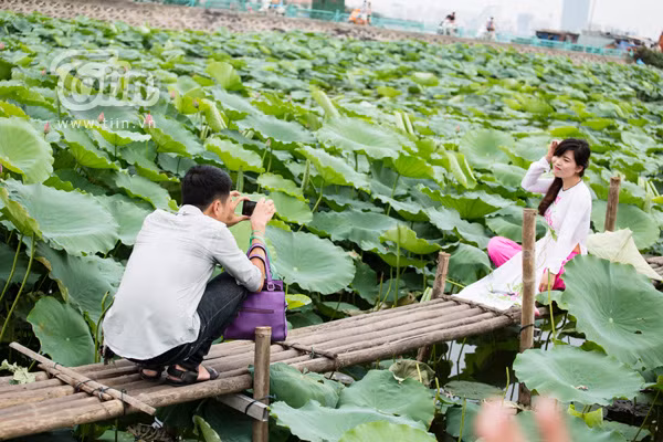 Giới trẻ Hà thành nô nức đi chụp sen Tây Hồ