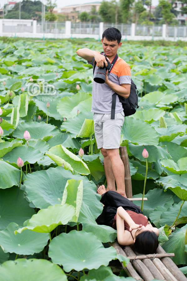 Giới trẻ Hà thành nô nức đi chụp sen Tây Hồ