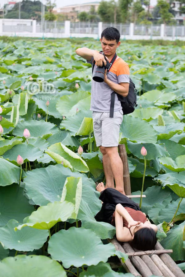 Giới trẻ Hà thành nô nức đi chụp sen Tây Hồ