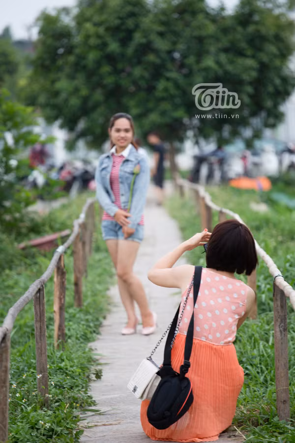 Giới trẻ Hà thành nô nức đi chụp sen Tây Hồ
