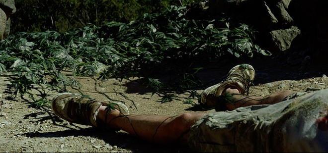 The Ruins (2008): The Ruins tương đối khác các tác phẩm cùng thể loại bởi bộ phim khai thác một loài thực vật ký sinh. Một nhóm bạn trẻ tới ngôi đền cổ tại Mexico để du lịch khám phá, nhưng sớm phải tìm đường rút lui do đụng độ với người bản địa. Song, lối thoát duy nhất là phải đi qua đỉnh đền, nơi bị bao phủ bởi loài dây leo sát thủ chết người. 10 phim kinh dị lấy đề tài ký sinh trùng