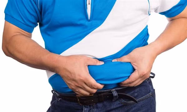 Chất béo nội tạng hỗ trợ các chức năng cơ bản khác nhau.