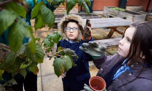 Các em nhỏ tại “khu vườn ăn được” ở Trường Bidston Village