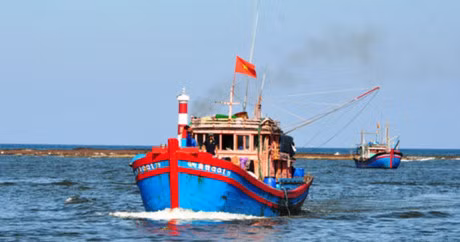 Cuu nan thanh cong tau ca dam phai da ngam - Anh 1