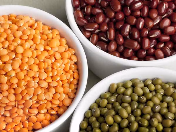 Đậu lăng: Đậu lăng cũng là một trong những nguồn tốt nhất của sắt. Nó cũng rất bổ dưỡng cho cơ thể với chất xơ không hòa tan, magiê, vitamin B6 và axit amin thiết yếu.