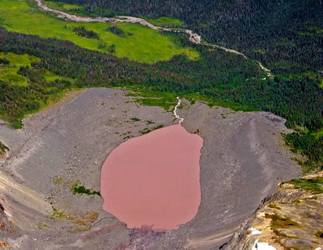 Hồ hồng Dusty Rose.