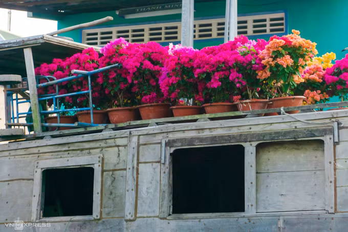 Chợ nổi Ngã Năm ngày giáp Tết