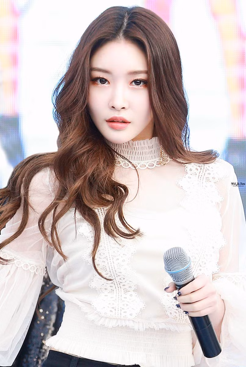 Nhan sac nhung nu than tuong tuoi Ty noi tieng bac nhat Kpop hinh anh 16 b339b1e861553a4c04a40b49fccd1a6f.jpg