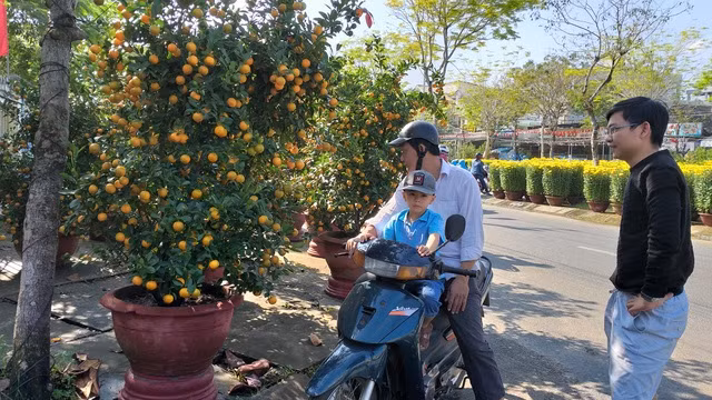 Hoa Tết ế ẩm, tiểu thương than trời - 3
