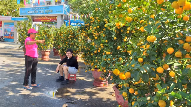 Hoa Tết ế ẩm, tiểu thương than trời - 2