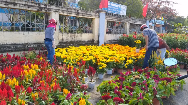 Hoa Tết ế ẩm, tiểu thương than trời - 6