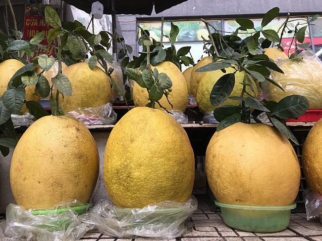 Những loại bưởi tiền triệu ngày Tết - 2