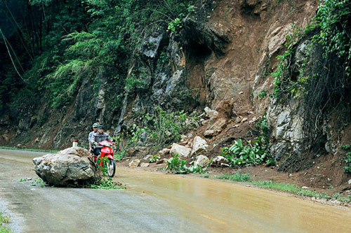Người dân Sơn La bắt cá trên đường quốc lộ sau lũ ảnh 15 - 15