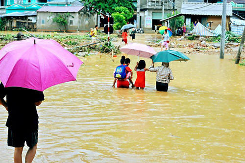Người dân Sơn La bắt cá trên đường quốc lộ sau lũ ảnh 14 - 14