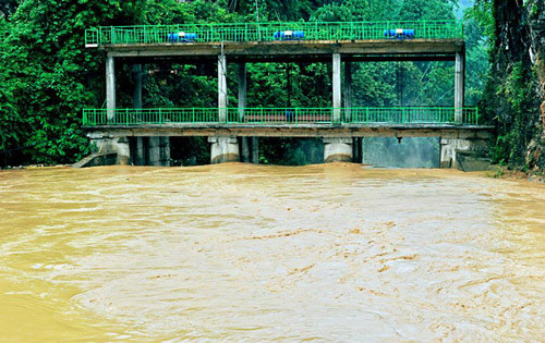 Người dân Sơn La bắt cá trên đường quốc lộ sau lũ ảnh 12 - 12