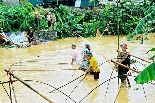 Người dân Sơn La bắt cá trên đường quốc lộ sau lũ ảnh 5 - 5