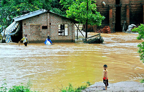 Người dân Sơn La bắt cá trên đường quốc lộ sau lũ ảnh 6 - 6