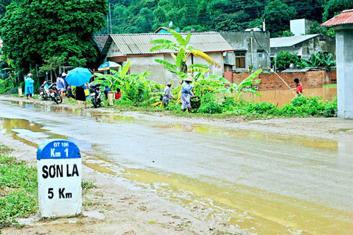 Người dân Sơn La bắt cá trên đường quốc lộ sau lũ ảnh 4 - 4
