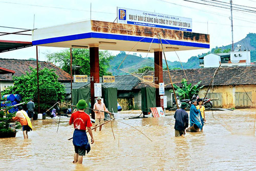 Người dân Sơn La bắt cá trên đường quốc lộ sau lũ ảnh 3 - 3