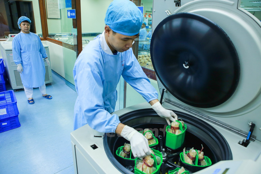 Khám phá đường đi của một đơn vị máu tại viện Huyết học ảnh 5 Khám phá đường đi của một đơn vị máu tại viện Huyết học ảnh 5