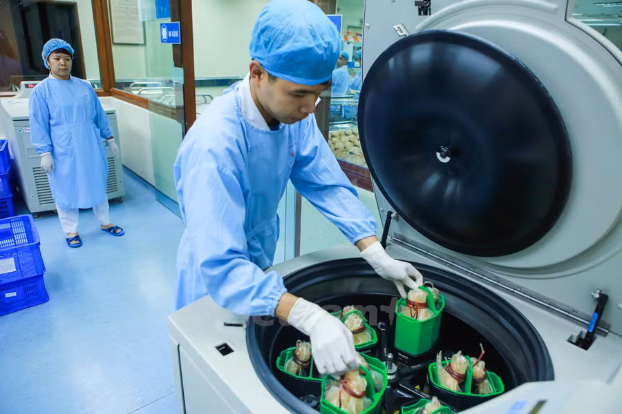 Khám phá đường đi của một đơn vị máu tại viện Huyết học ảnh 5