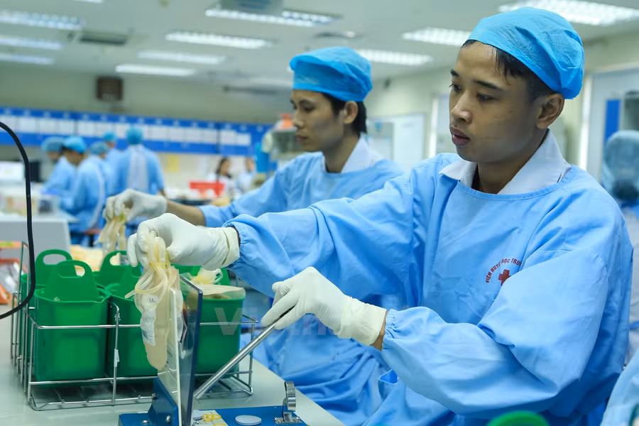 Khám phá đường đi của một đơn vị máu tại viện Huyết học ảnh 7