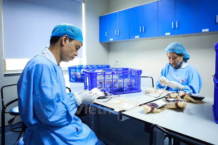 Khám phá đường đi của một đơn vị máu tại viện Huyết học ảnh 3 Khám phá đường đi của một đơn vị máu tại viện Huyết học ảnh 3