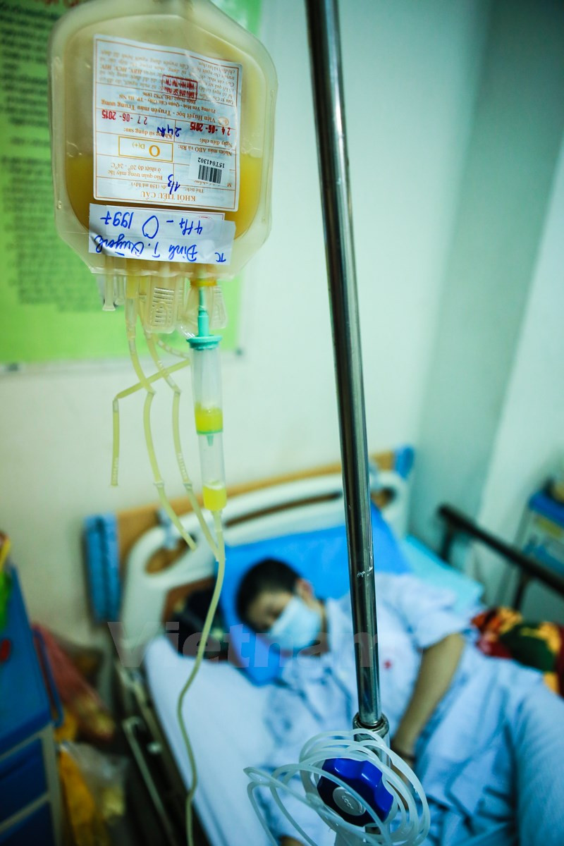 Khám phá đường đi của một đơn vị máu tại viện Huyết học ảnh 15 Khám phá đường đi của một đơn vị máu tại viện Huyết học ảnh 15