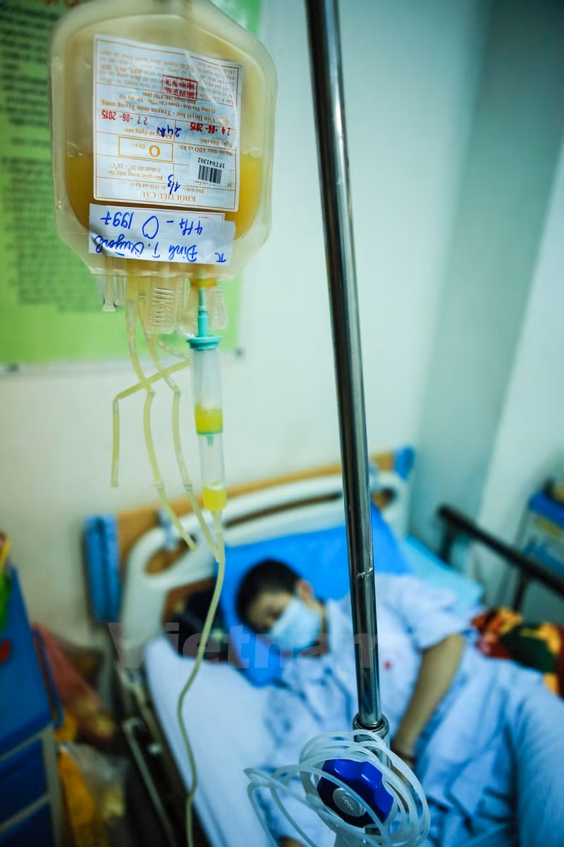 Khám phá đường đi của một đơn vị máu tại viện Huyết học ảnh 15