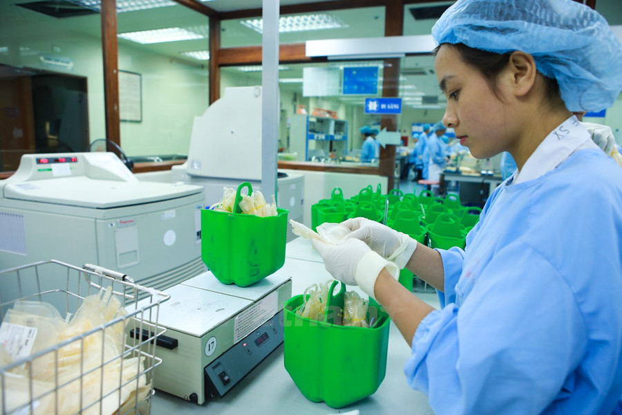 Khám phá đường đi của một đơn vị máu tại viện Huyết học ảnh 4 Khám phá đường đi của một đơn vị máu tại viện Huyết học ảnh 4