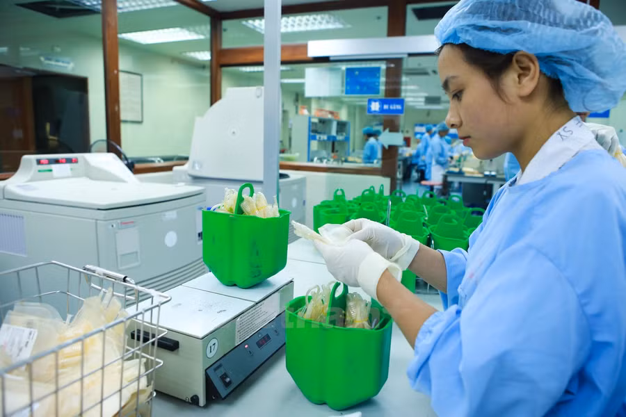 Khám phá đường đi của một đơn vị máu tại viện Huyết học ảnh 4